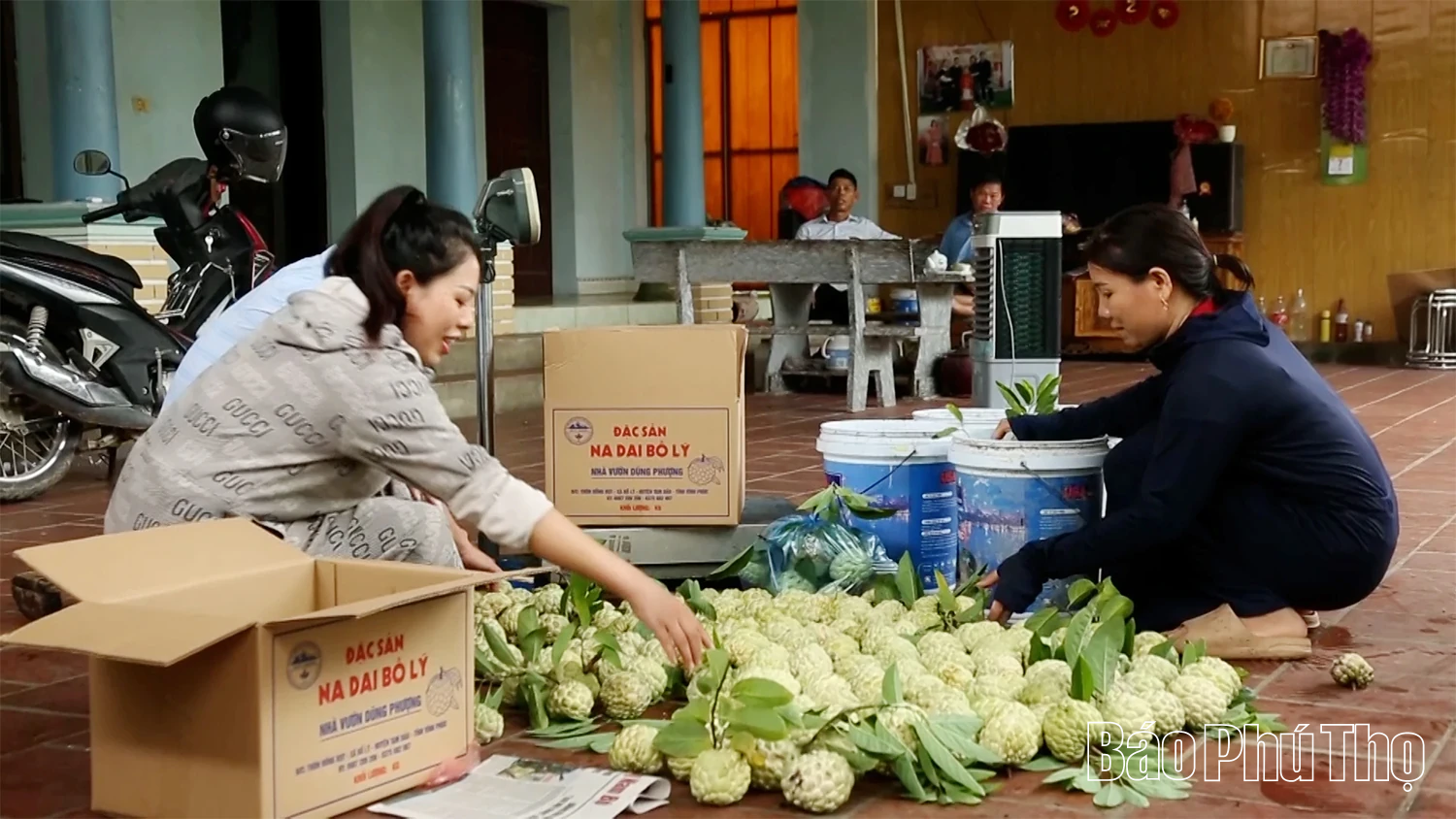 Câu chuyện về na dai Bồ Lý