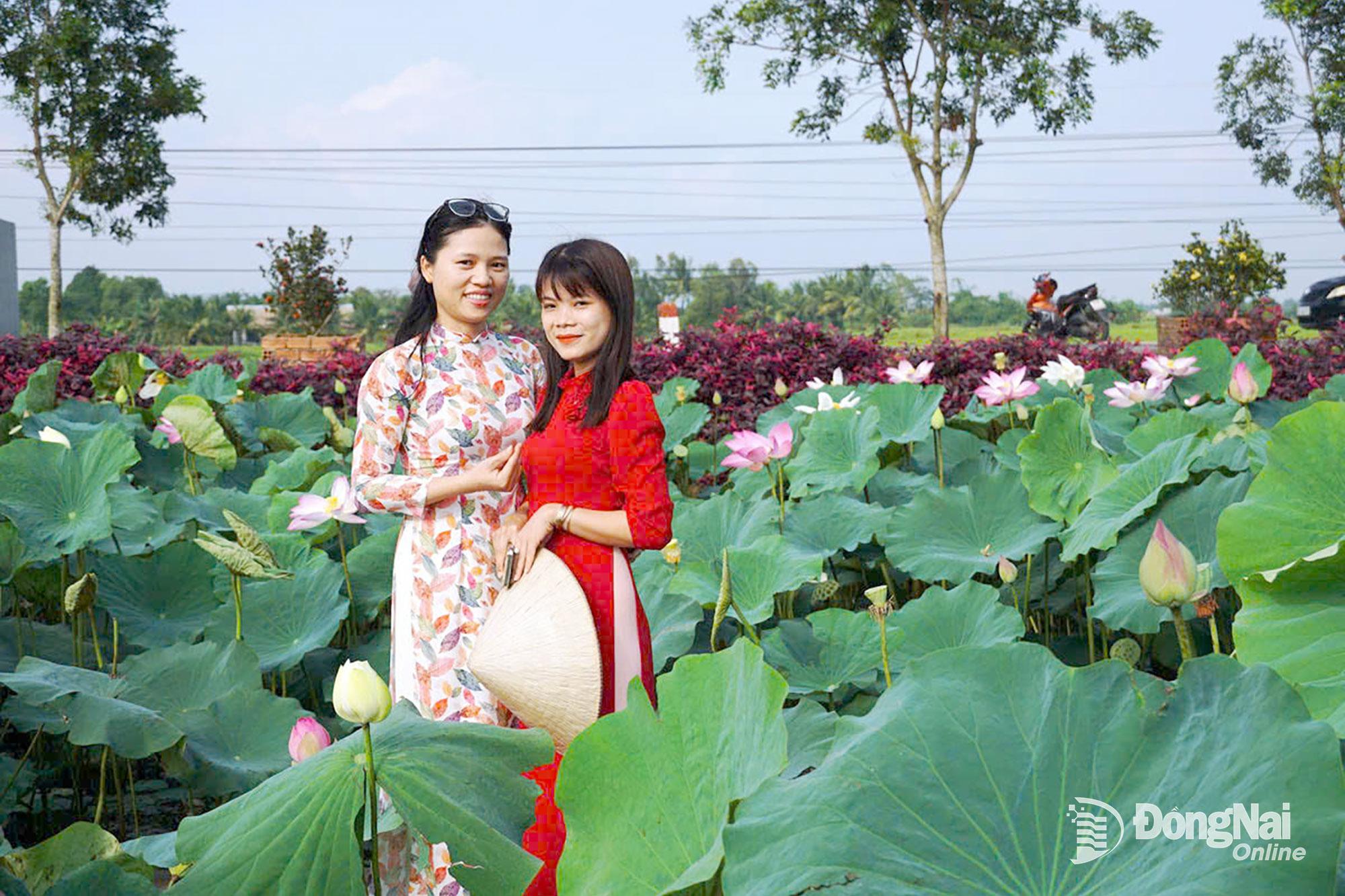 Du kh&aacute;ch chụp ảnh b&ecirc;n c&aacute;nh đồng sen Lang Minh Farm, x&atilde; Xu&acirc;n Ph&uacute;.