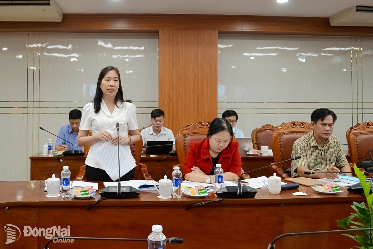 Tỉnh ủy viên, Phó Trưởng ban Tổ chức Tỉnh ủy Đồng Nai Bùi Thị Yến phát biểu tại buổi làm việc. Ảnh: Phương Hằng