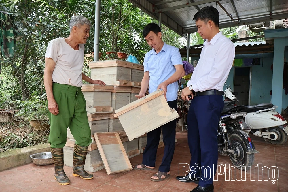 Mùa con ong đi lấy mật