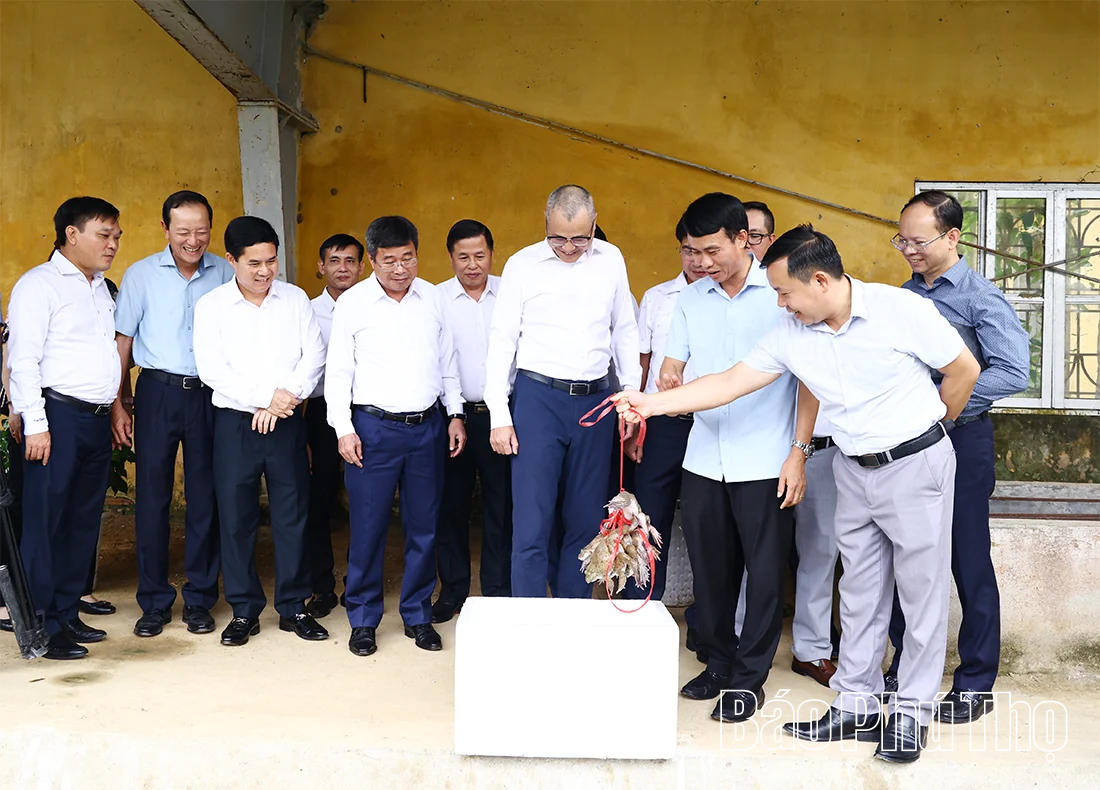 Ứng dụng khoa học công nghệ để nhân rộng mô hình sản xuất nông nghiệp hiệu quả