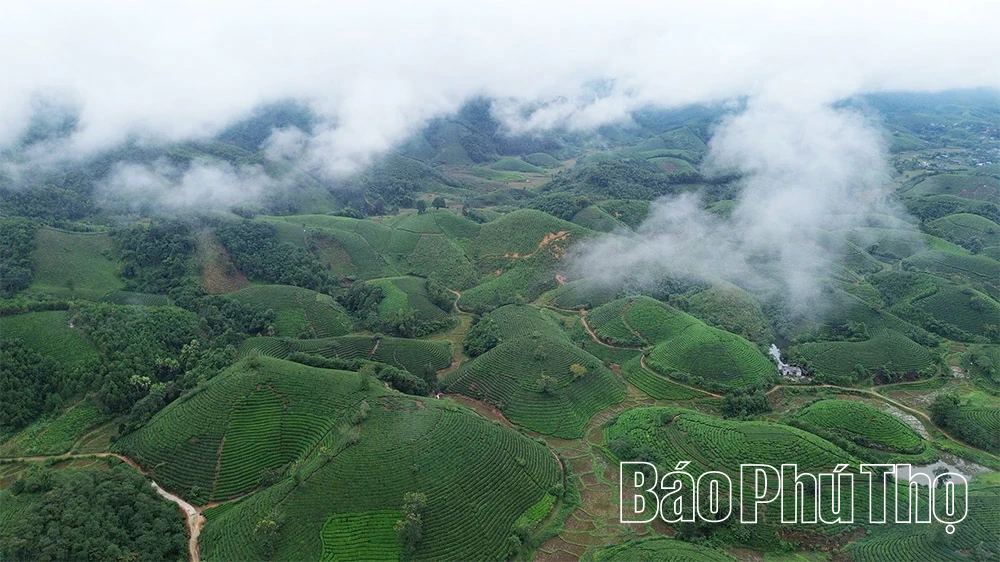 Đặc sản “lên sàn”