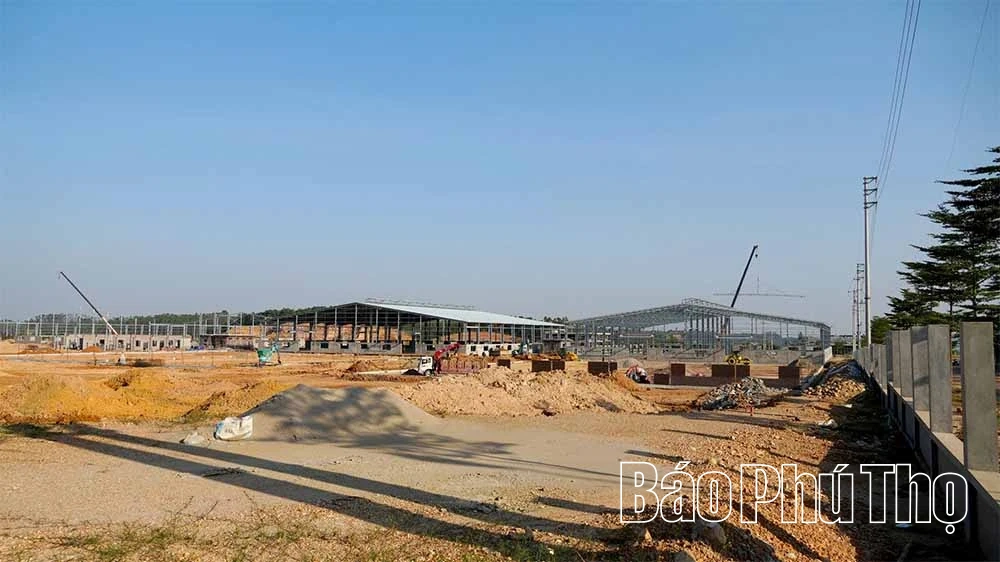 Sức sống mới Vạn Xuân