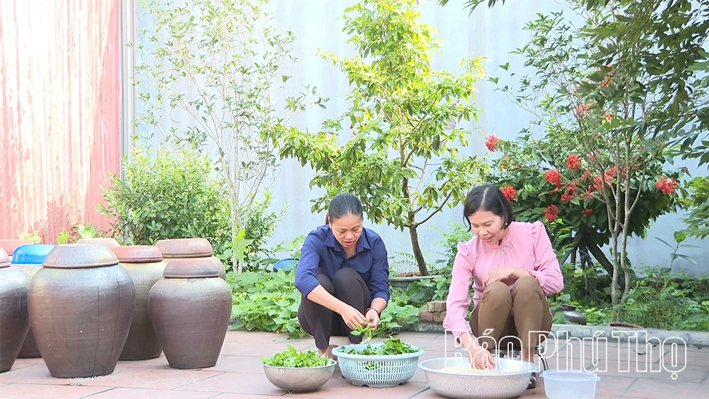 Tương Tiên Lữ - mặn mà một miền trung du