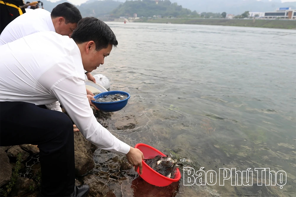 Lung linh đêm hội bên dòng Đà Giang