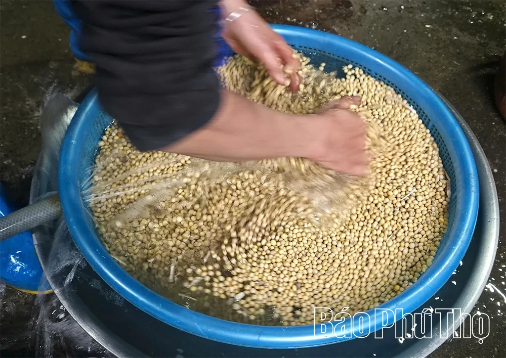 Đậu R&ugrave;a Tu&acirc;n Ch&iacute;nh: G&oacute;i trọn vị qu&ecirc; trong từng miếng nhỏ