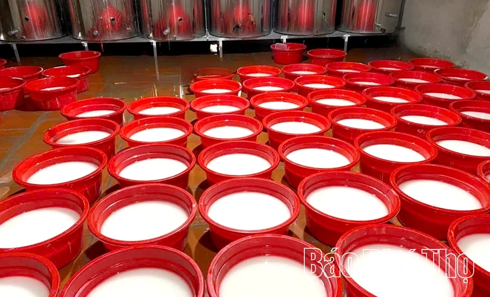 Mát lành bột sắn dây Nhuận Trạch