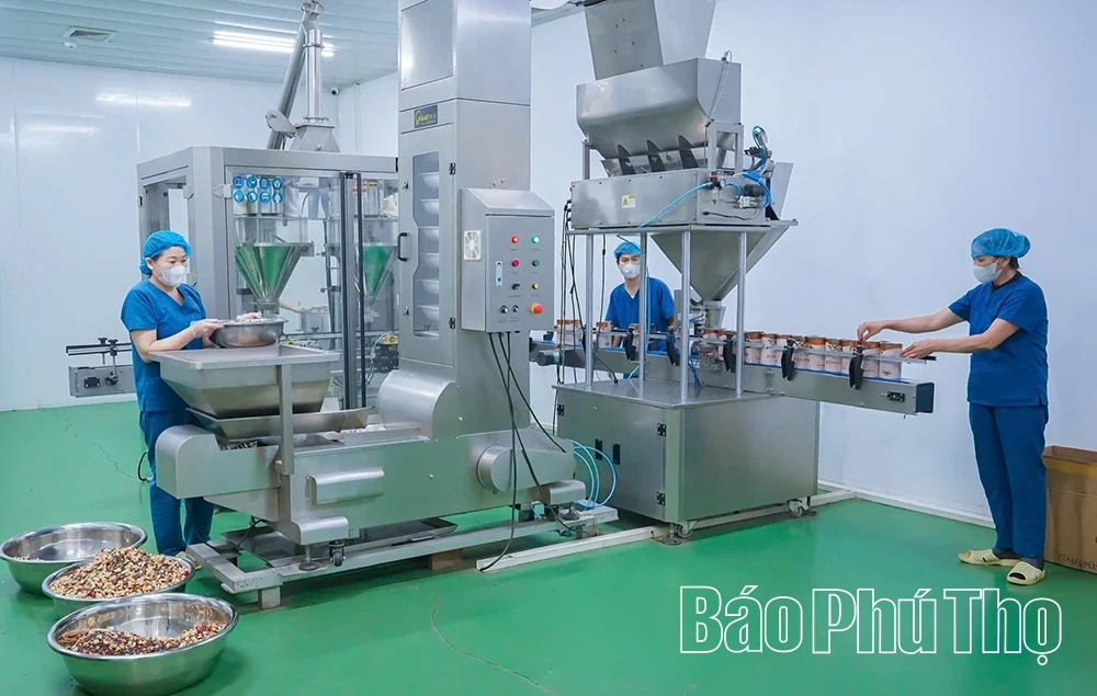 Trà Quê Việt - tinh hoa từ thiên nhiên