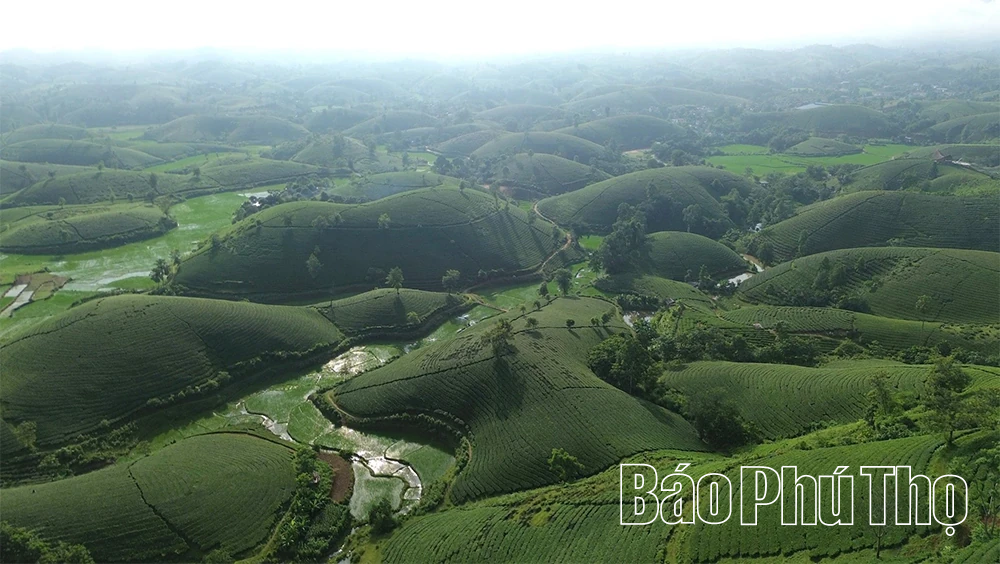 Long Cốc: Giấc mơ &ldquo;h&oacute;a rồng&rdquo;