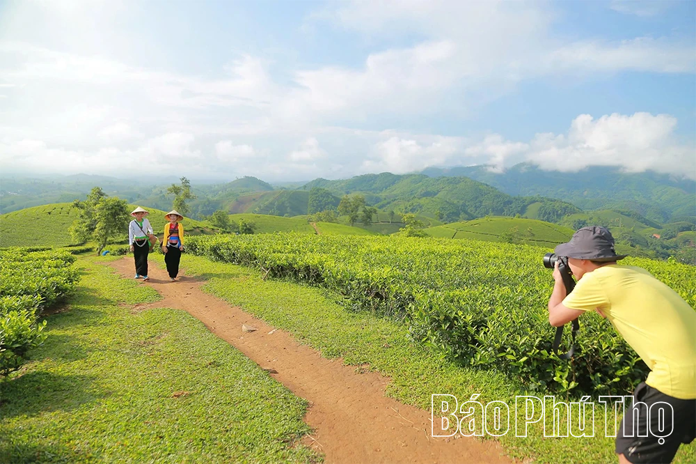 Long Cốc: Giấc mơ &ldquo;h&oacute;a rồng&rdquo;