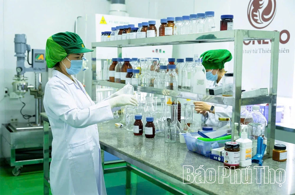 Người đem thương hiệu &ldquo;Mật ong Tam Đảo&rdquo; ra thế giới