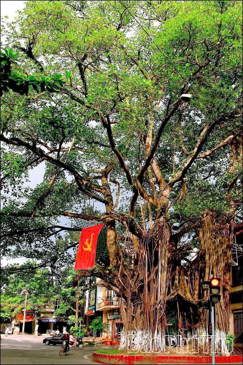 Số hóa “địa chỉ đỏ” để giáo dục truyền thống cách mạng