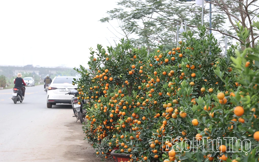 Sắc màu phiên chợ Tết