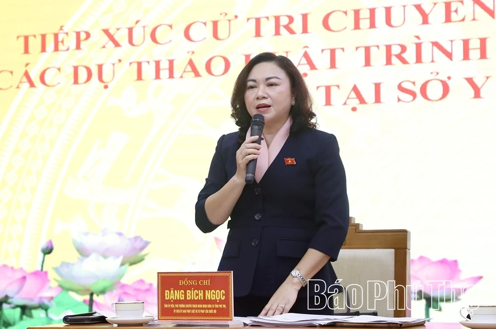 Đoàn ĐBQH tỉnh lấy ý kiến đóng góp vào dự thảo Luật Dân số và Luật Phòng bệnh