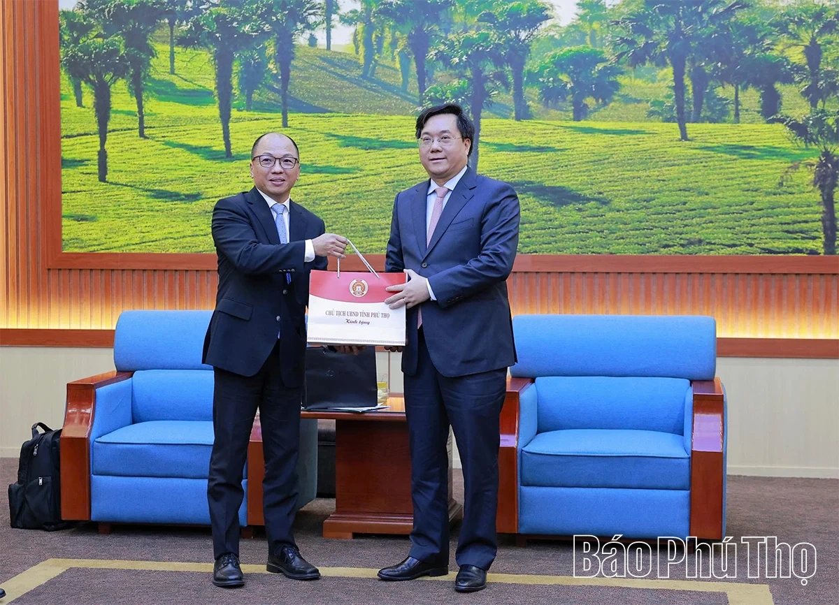 Chủ tịch UBND tỉnh Trần Duy Đông tiếp và làm việc với lãnh đạo Công ty Ô tô Toyota Việt Nam