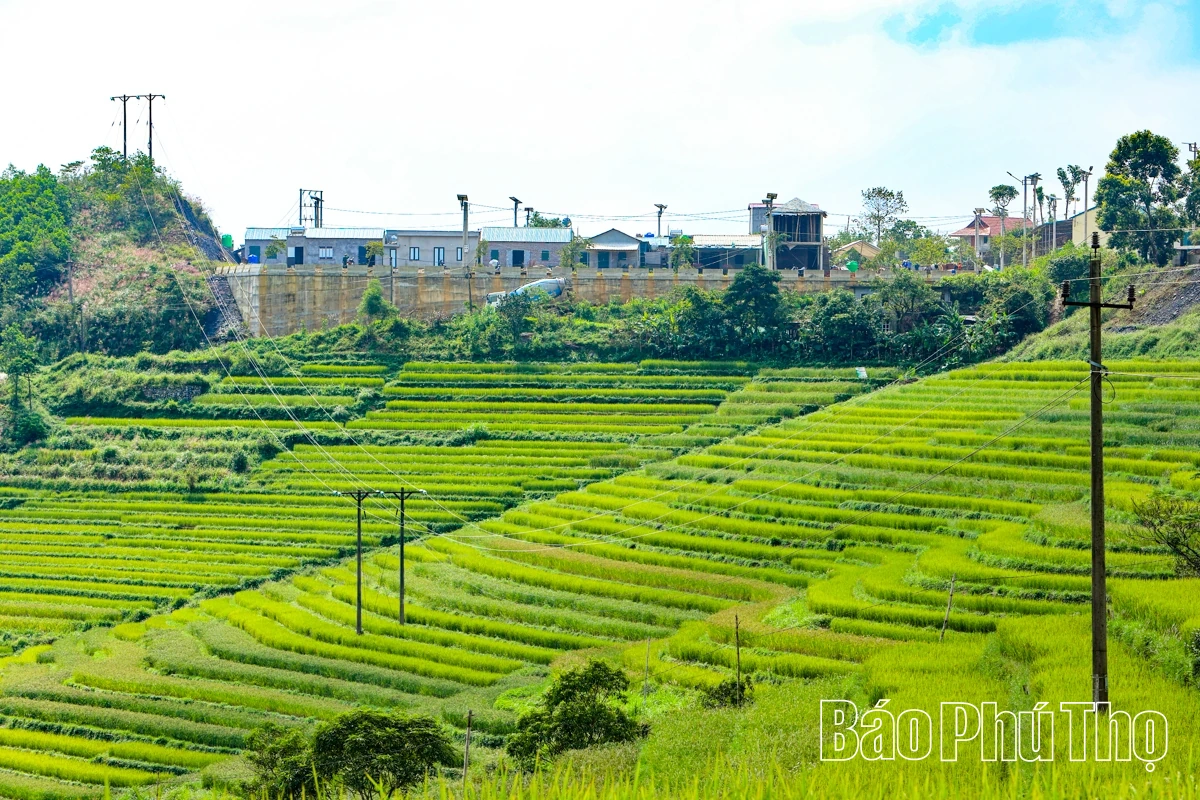 Thả hồn trên đỉnh Miền Đồi