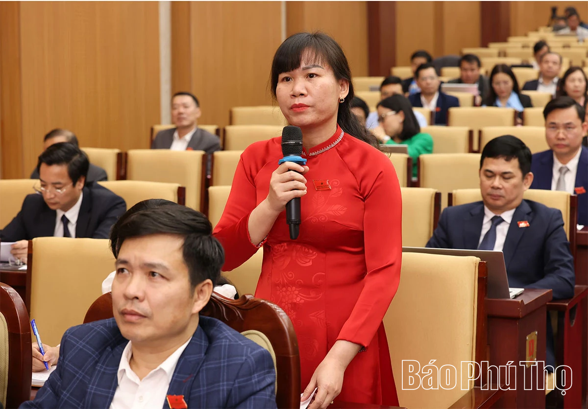 Các đại biểu thảo luận, chất vấn và trả lời chất vấn tại hội trường