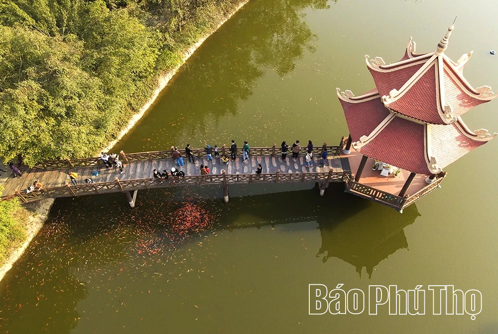 Đầu năm du Xuân về Thiền viện Trúc Lâm Tuệ Đức