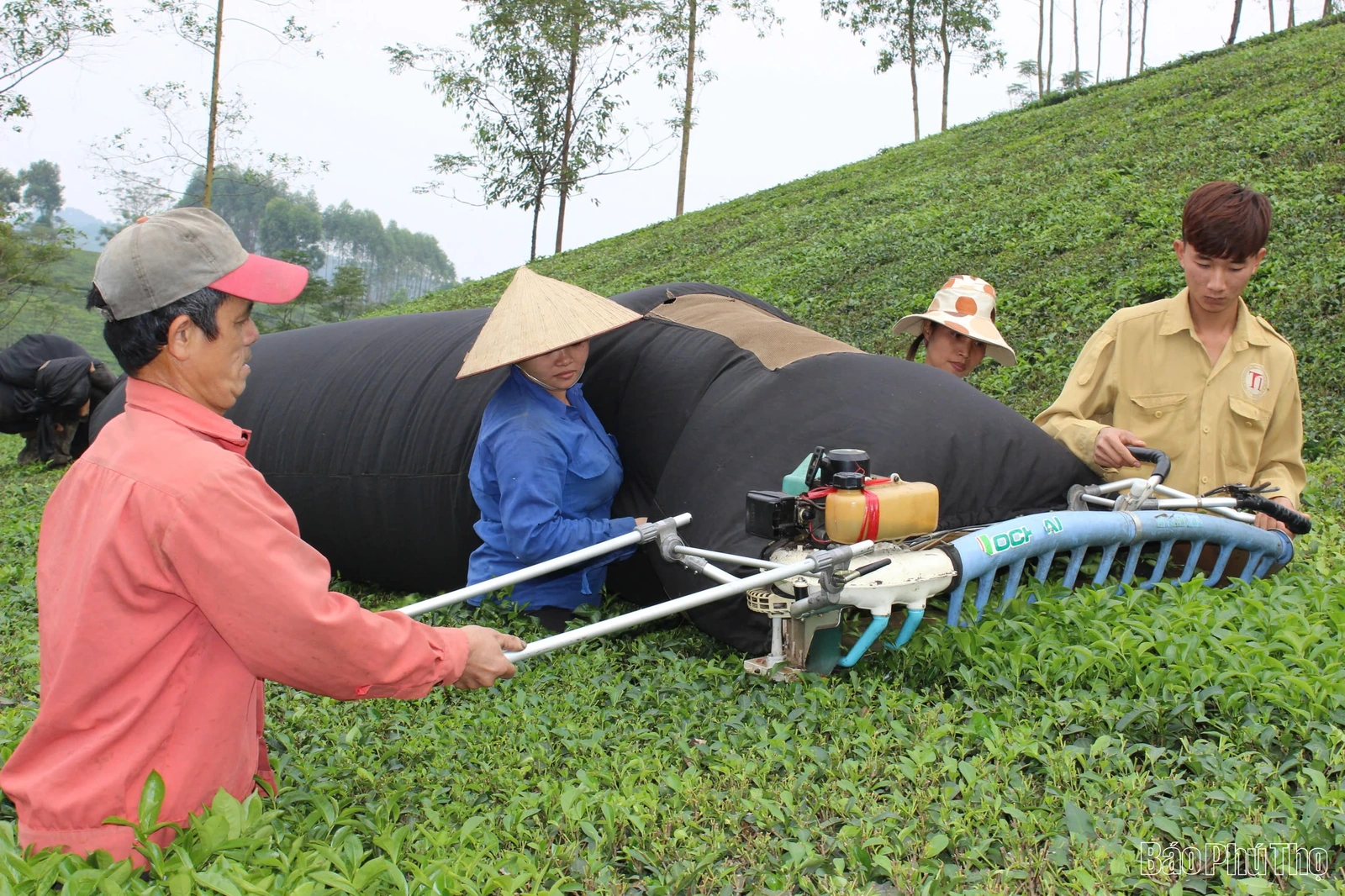 Nâng tầm nông sản
