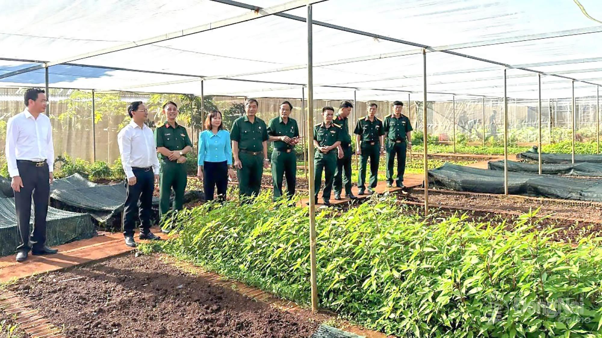 Đo&agrave;n tham quan khu tăng gia của đơn vị. Ảnh: ĐVCC