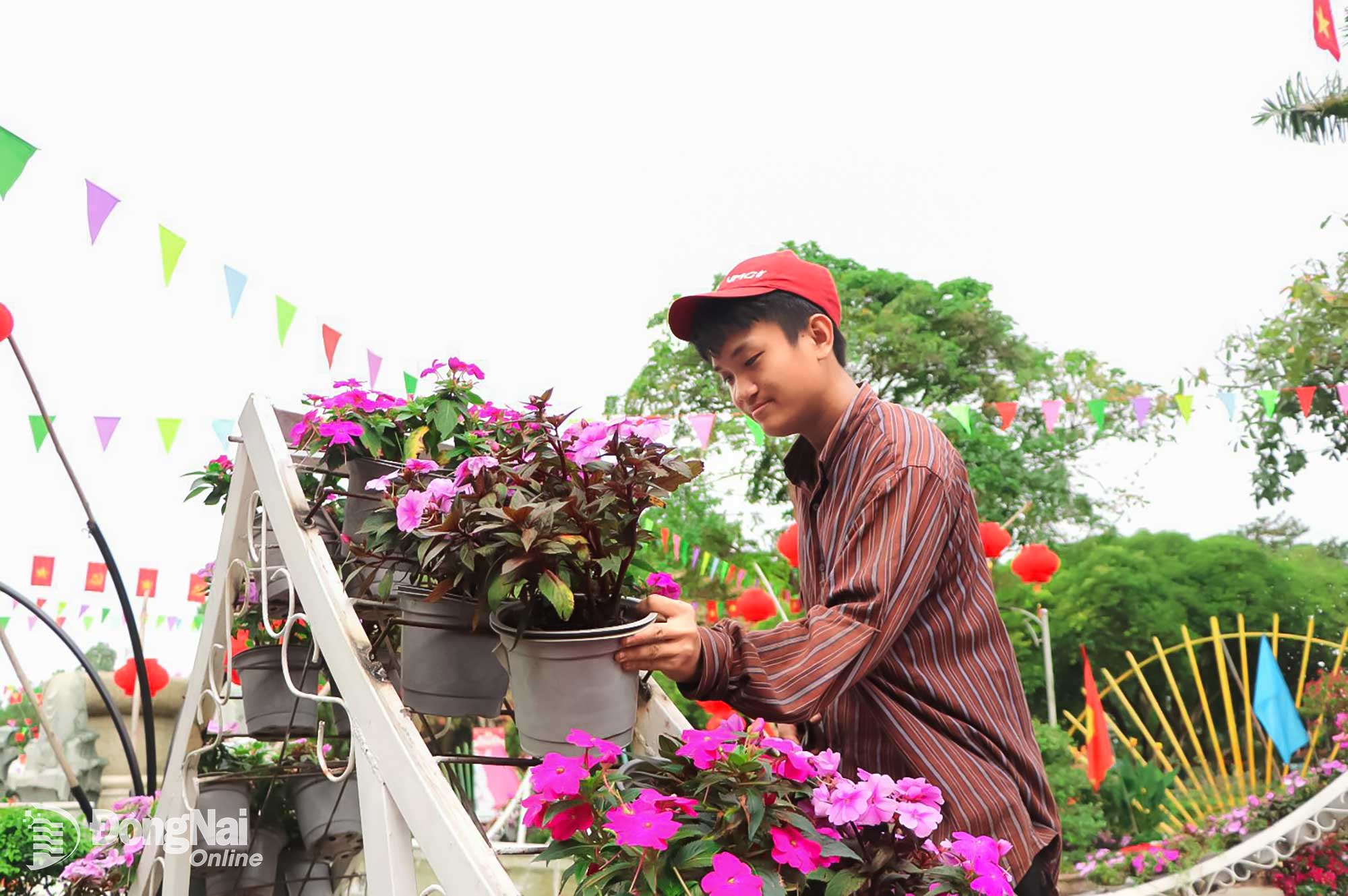 Nh&acirc;n vi&ecirc;n chăm s&oacute;c c&acirc;y cảnh chuẩn bị phục vụ du kh&aacute;ch. Ảnh: Thủy Mộc