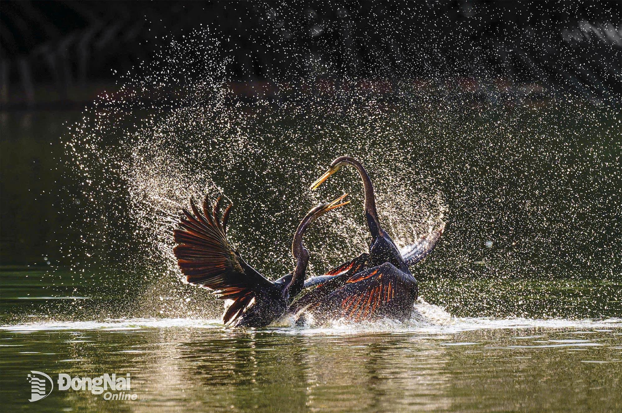 Điên điển cổ rắn - tác giả NGUYỄN MINH MẪN.