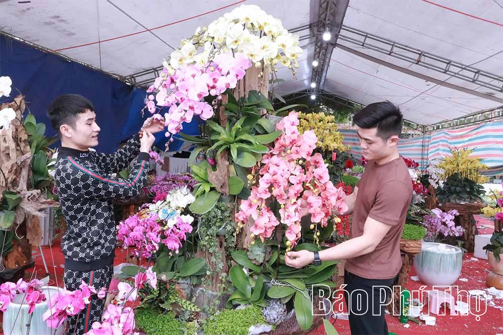 Đưa hoa Xuân xuống phố