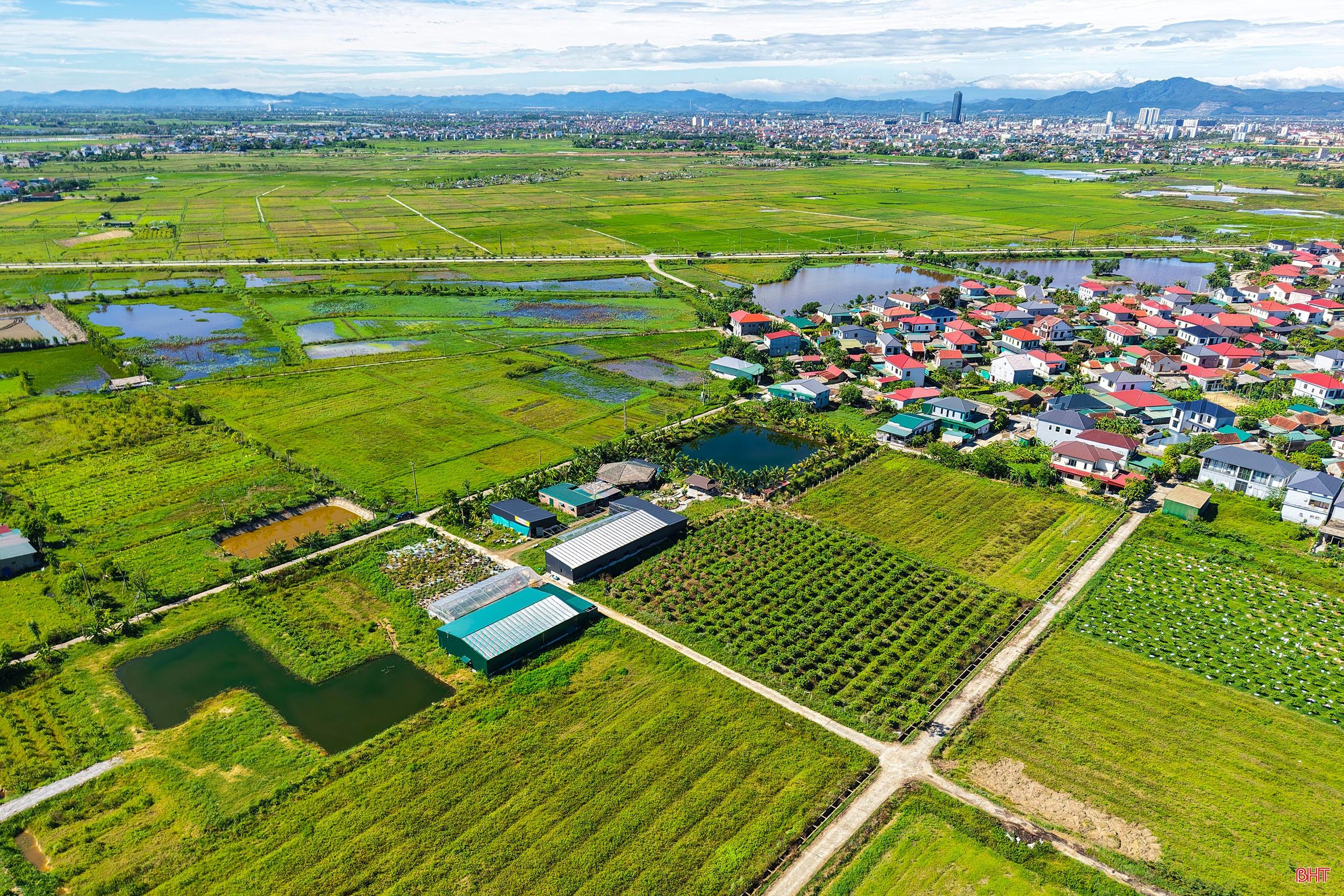 Khu trang trại HTX Thanh niên Thành Sen (phường Trần Phú, Hà Tĩnh). bqbht_br_d1-d.jpg