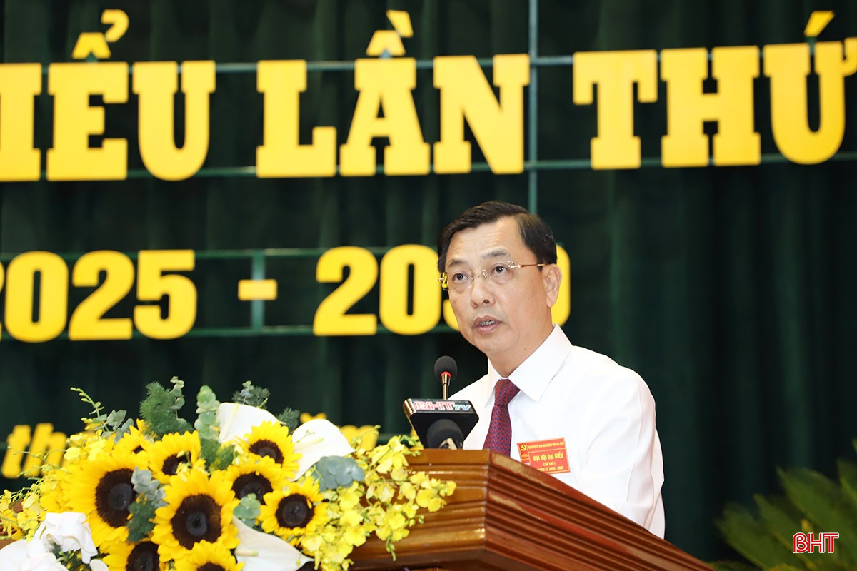 Giám đốc Ban Quản lý KKT tỉnh Trần Việt Hà tham luận chủ đề đẩy mạnh thu hút đầu tư vào khu kinh tế, khu công nghiệp gắn với phát triển khu vực kinh tế tư nhân nhằm thúc đẩy tăng trưởng và chuyển dịch cơ cấu kinh tế. bqbht_br_11.jpg