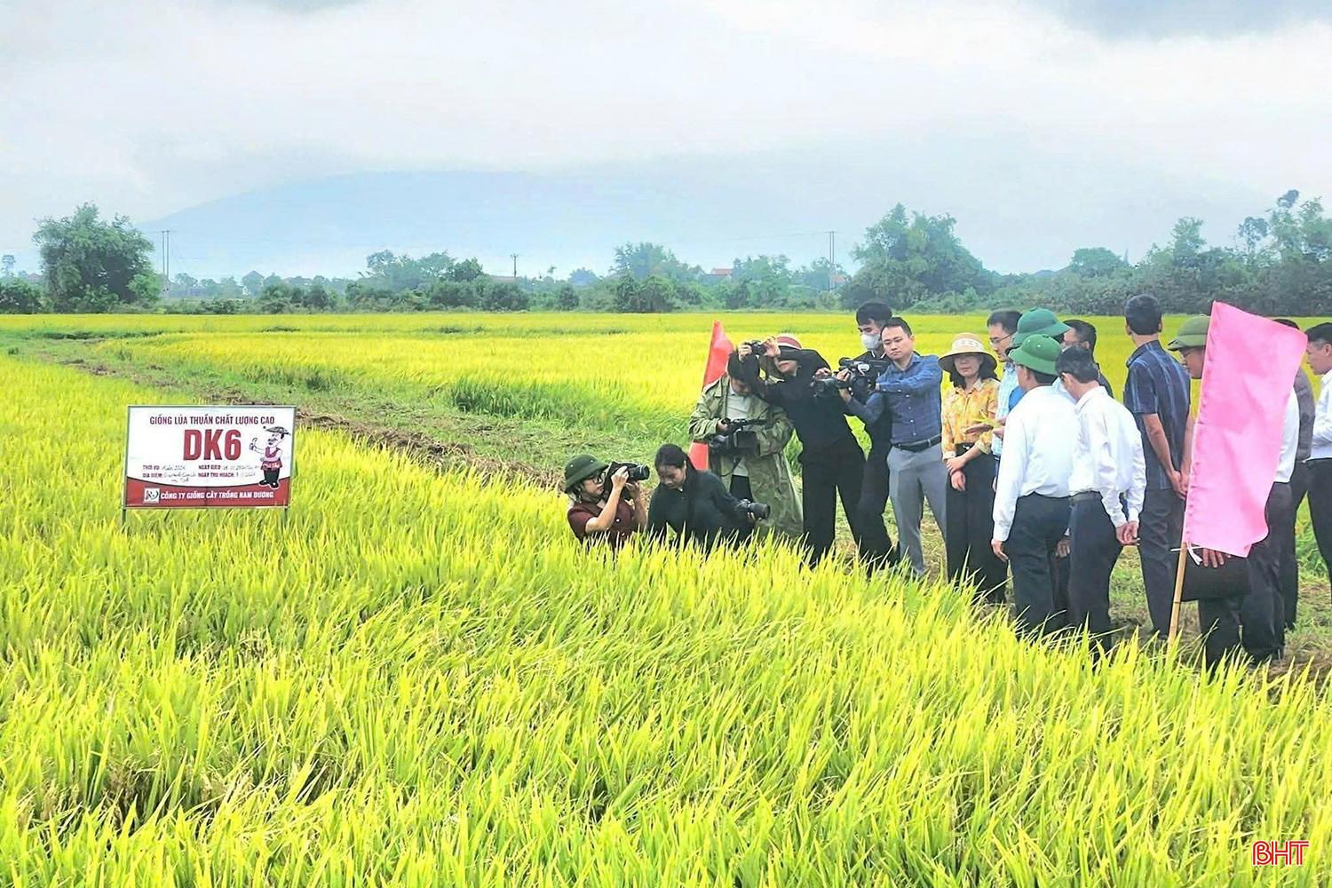 Với phóng viên Thanh Nga - Báo Nông nghiệp và Môi trường (ngoài cùng bên trái), mỗi chuyến đi là một cơ hội để phản ánh chân thực hơi thở của ngành. bqbht_br_az7953588214353-93c1add7043c280c5f3d7620671ce1bc.jpg