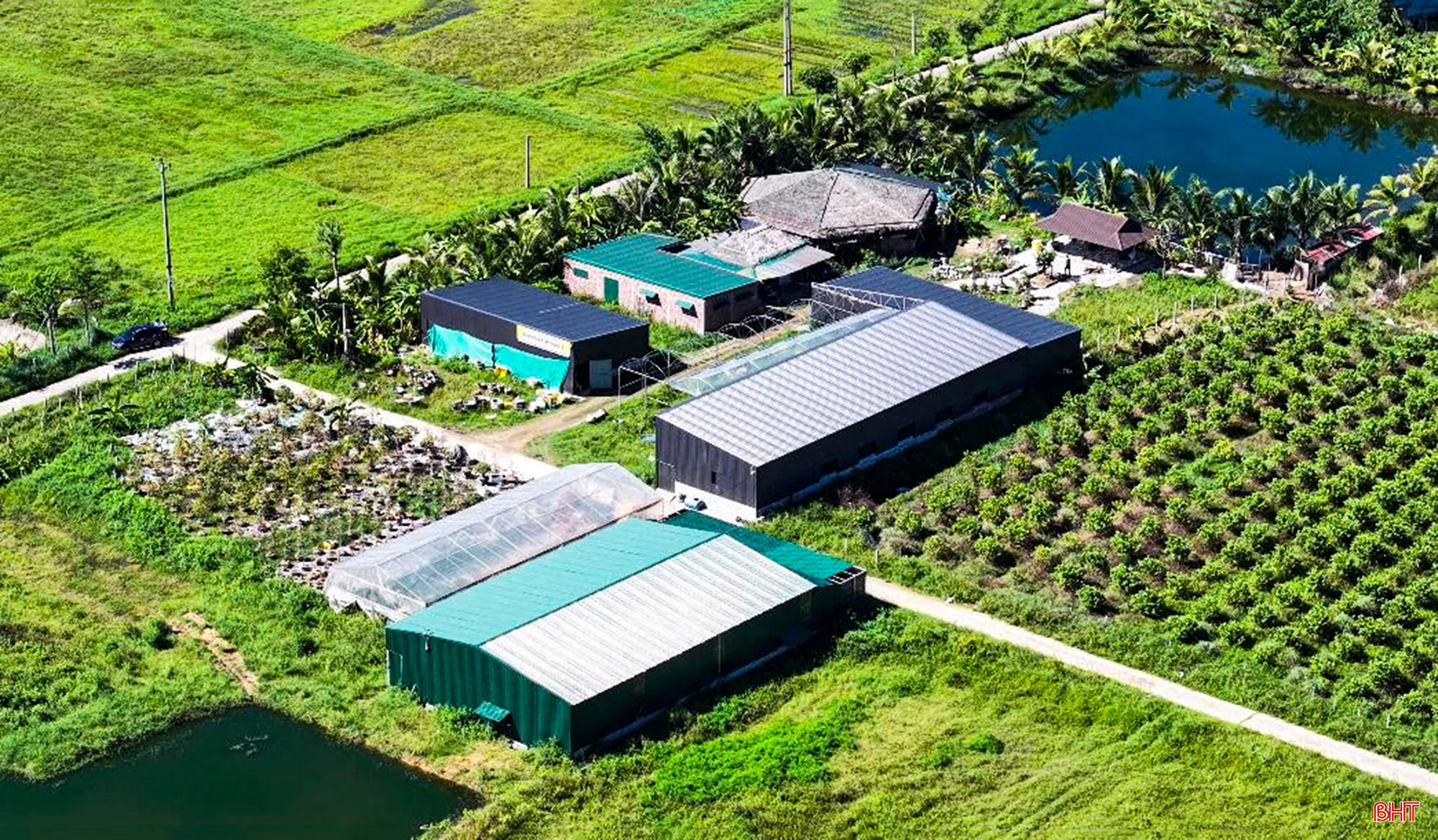 Khu trang trại của HTX Thanh niên Thành Sen sau khi tái đầu tư theo hướng sản xuất nông nghiệp hiện đại. bqbht_br_c9.jpg