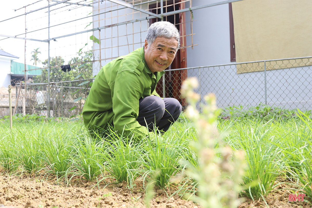 Người dân nỗ lực sản xuất để vừa có thêm nguồn thu nhập, vừa góp phần làm đẹp cảnh quan vườn nhà, khu dân cư. bqbht_br_img-3484-2-copy.jpg
