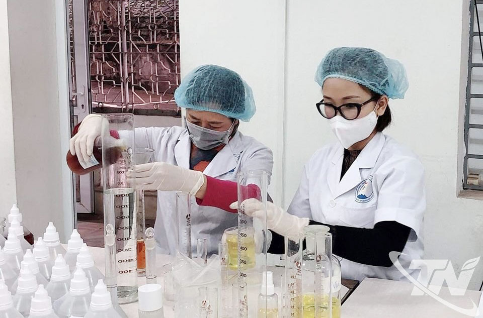 Đội ngũ trí thức trên địa bàn tỉnh đóng góp tích cực vào quá trình phát triển kinh tế - xã hội của địa phương.