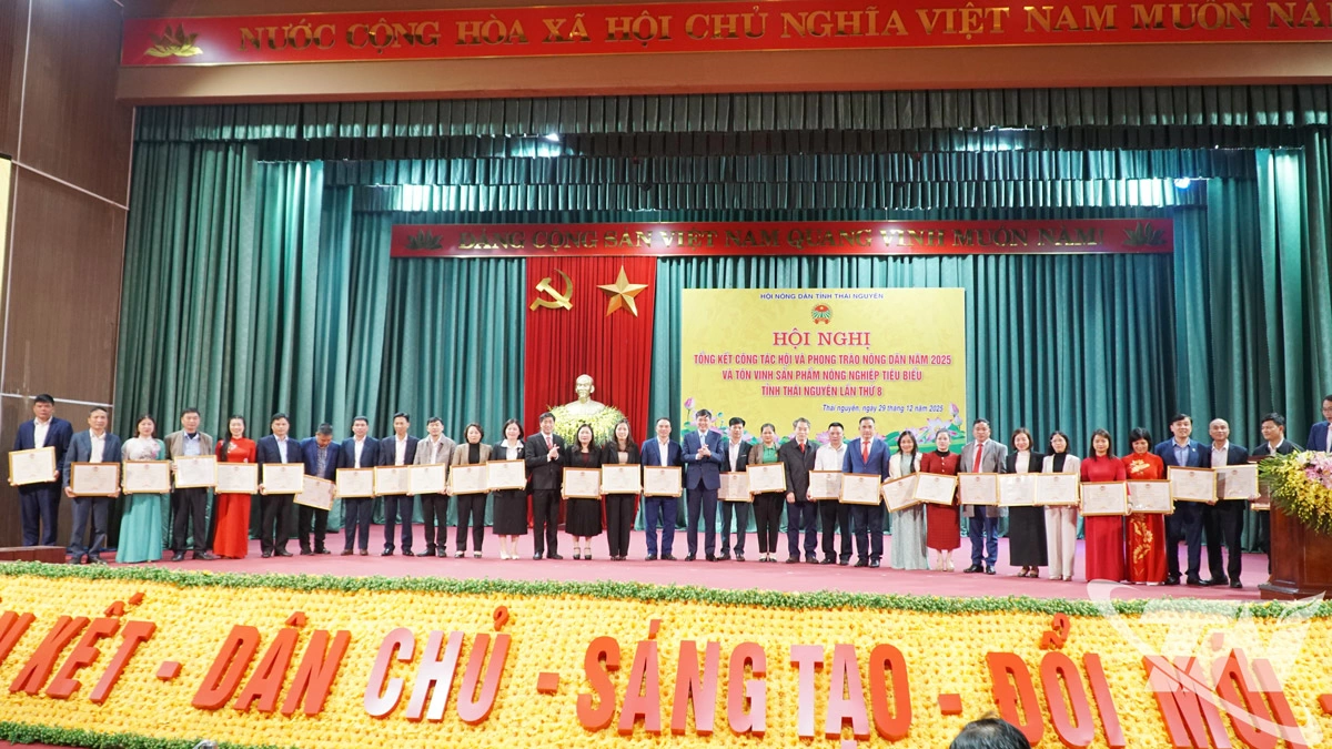Hội N&ocirc;ng d&acirc;n tỉnh đ&atilde; tặng bằng khen cho 33 tập thể c&oacute; th&agrave;nh t&iacute;ch xuất sắc trong c&ocirc;ng t&aacute;c Hội v&agrave; phong tr&agrave;o n&ocirc;ng d&acirc;n năm 2025.