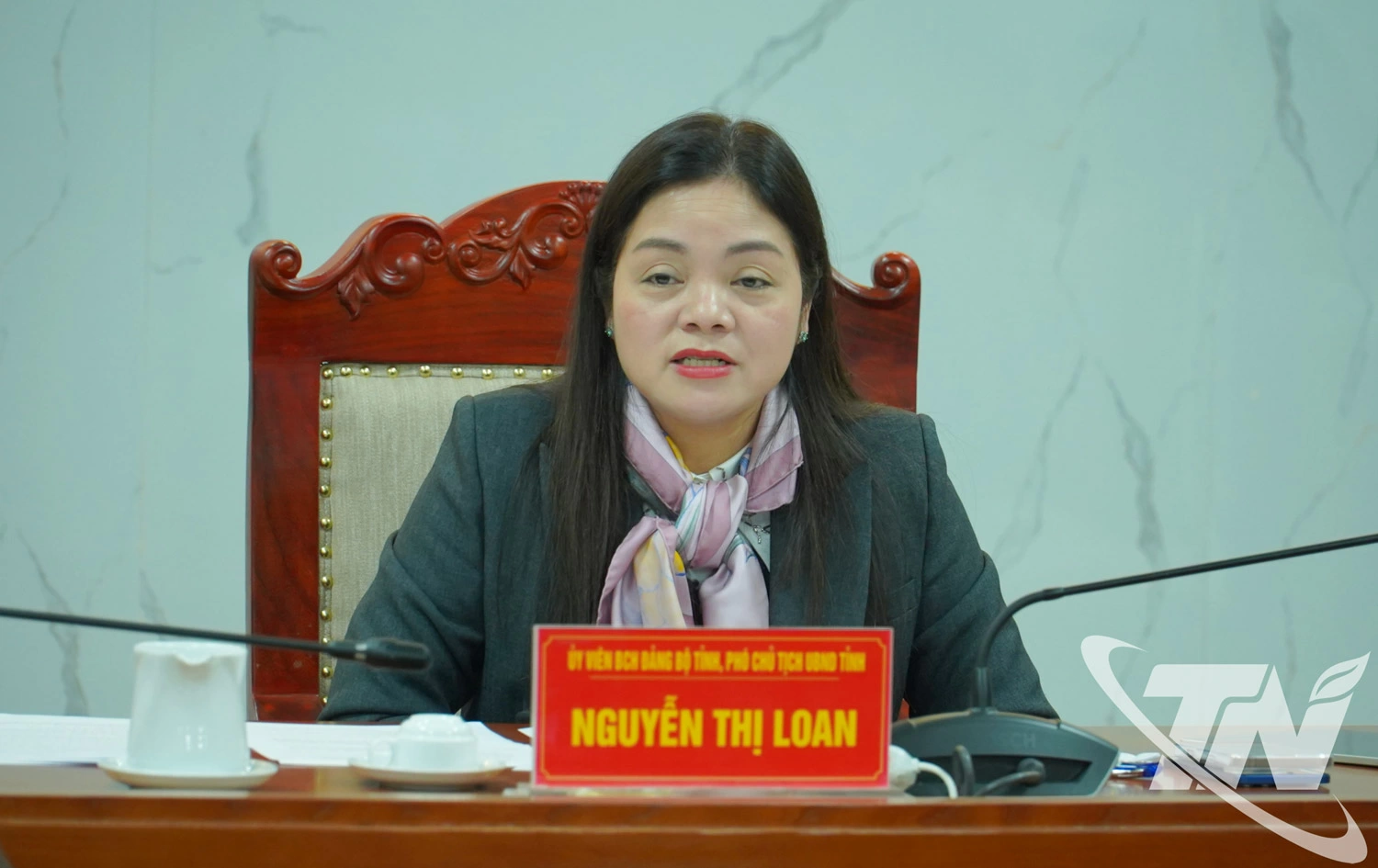     Đồng ch&iacute; Nguyễn Thị Loan, Ph&oacute; Chủ tịch UBND tỉnh ph&aacute;t biểu kết luận cuộc họp.