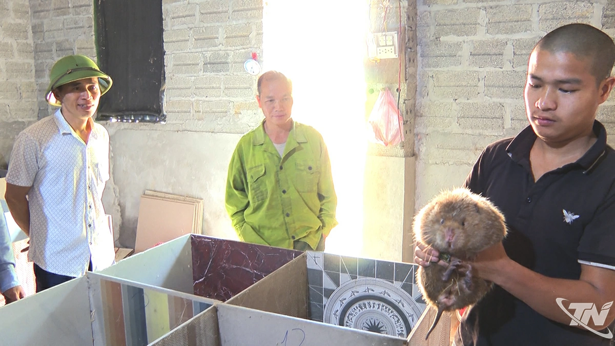 Chi cục Kiểm lâm quản lý hoạt động gây nuôi động vật hoang dã thông qua việc cấp mã số cơ sở nuôi.