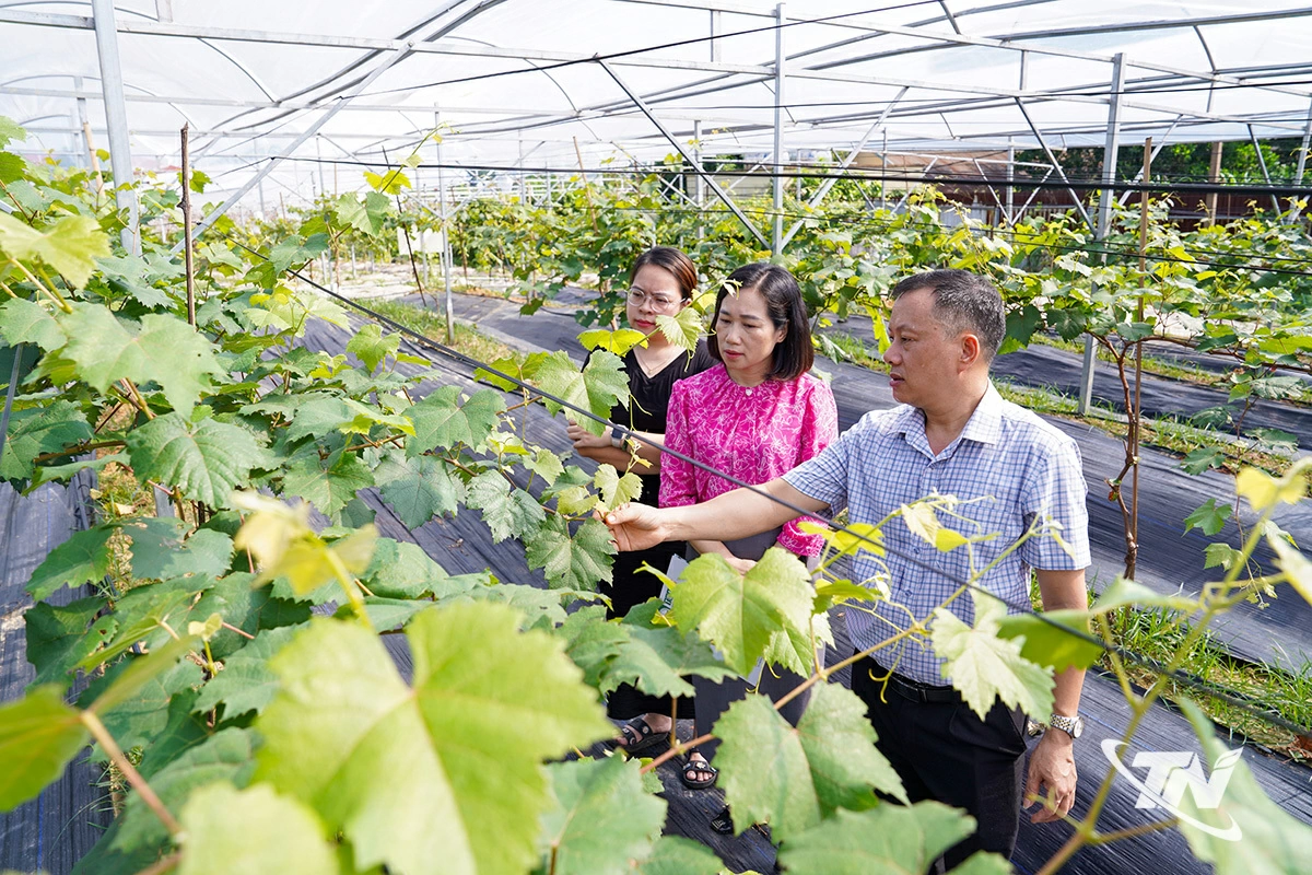 6 tháng qua,   nông nghiệp   duy trì ổn định,   bảo đảm an   ninh lương   thực và sinh kế   khu vực nông   thôn.