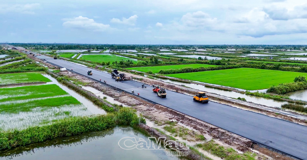 &ETH;ường cao tốc Cần Thơ - C&agrave; Mau (đoạn qua C&agrave; Mau, d&agrave;i 29,6 km), dự &aacute;n ti&ecirc;u biểu, b&agrave;n giao mặt bằng đạt 100%.