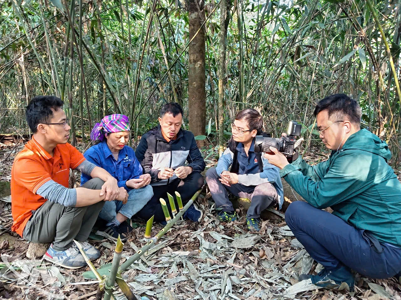 Phóng viên Báo và Phát thanh, Truyền hình Thái Nguyên cùng đồng nghiệp tác nghiệp trong hành trình khảo sát cây chè cổ trên đỉnh dãy Tam Đảo, thuộc địa phận xã La Bằng, tỉnh Thái Nguyên.