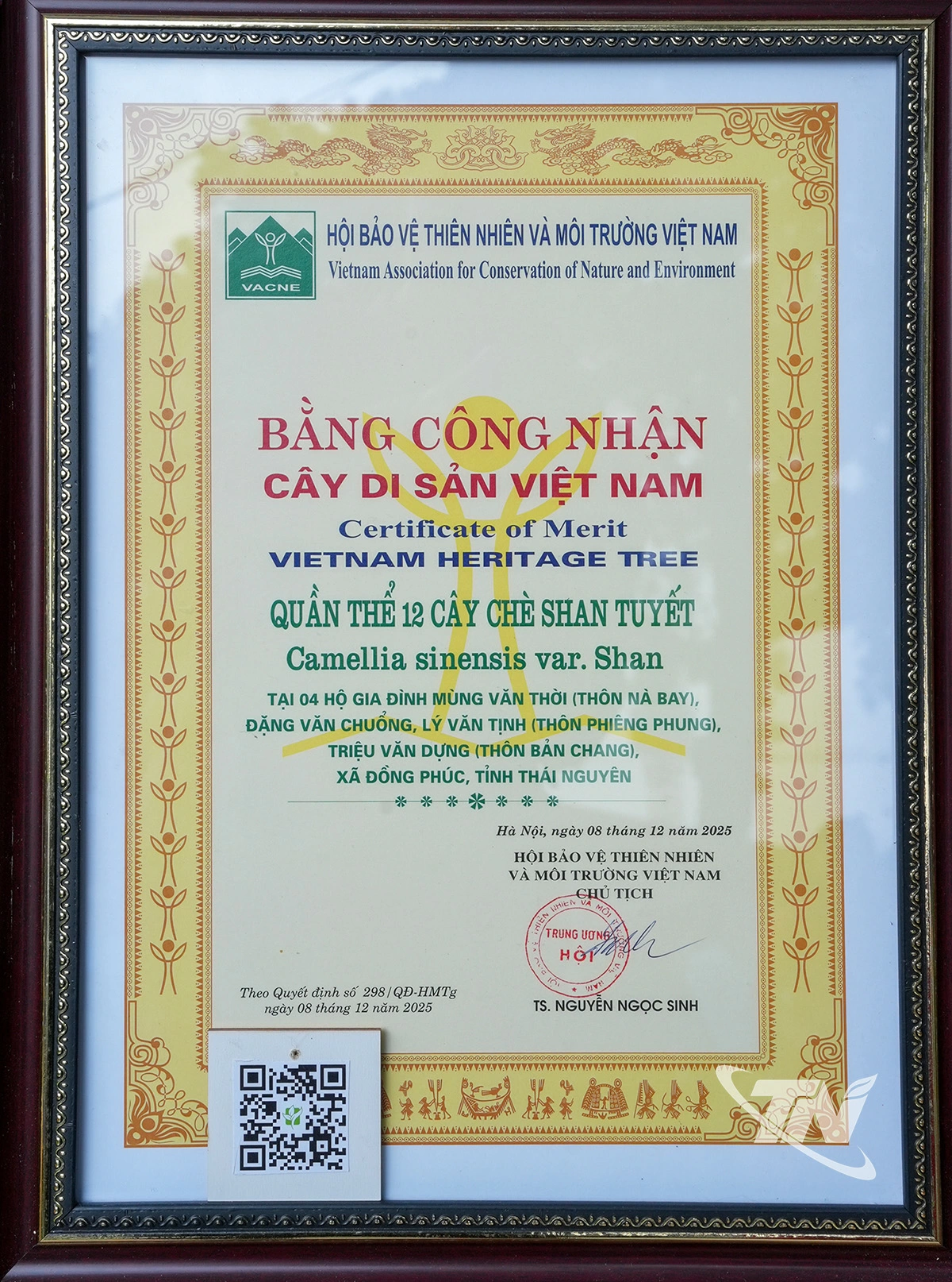 ại đây trưng bày Bằng công nhận Cây di sản Việt Nam do Hội Bảo vệ Thiên nhiên và Môi trường Việt Nam (VACNE) cấp đầu tháng 12 vừa qua.