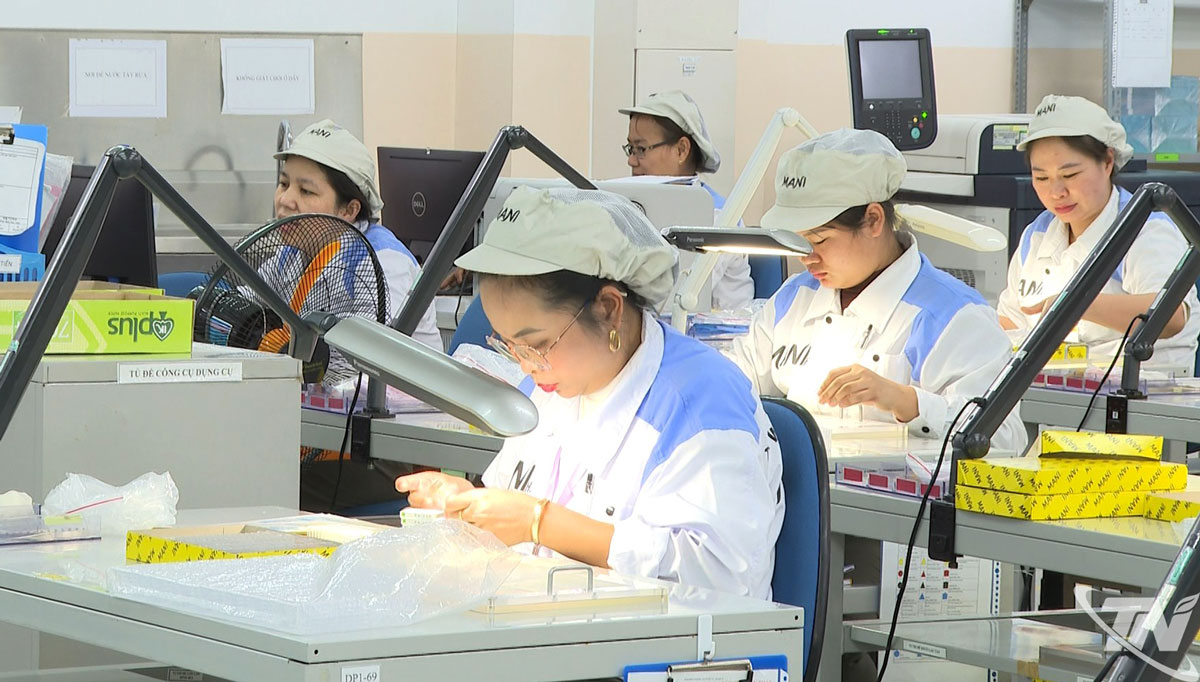 Khu vực doanh nghiệp có vốn đầu tư trực tiếp nước ngoài (FDI)