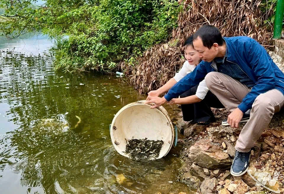 Hằng năm, Chi cục Chăn nu&ocirc;i, Th&uacute; y v&agrave; Thủy sản tỉnh Th&aacute;i Nguy&ecirc;n đều tổ chức c&aacute;c đợt thả c&aacute; xuống s&ocirc;ng v&agrave; c&aacute;c hồ chứa nước lớn tr&ecirc;n địa b&agrave;n để tạo nguồn lợi thủy sản.
