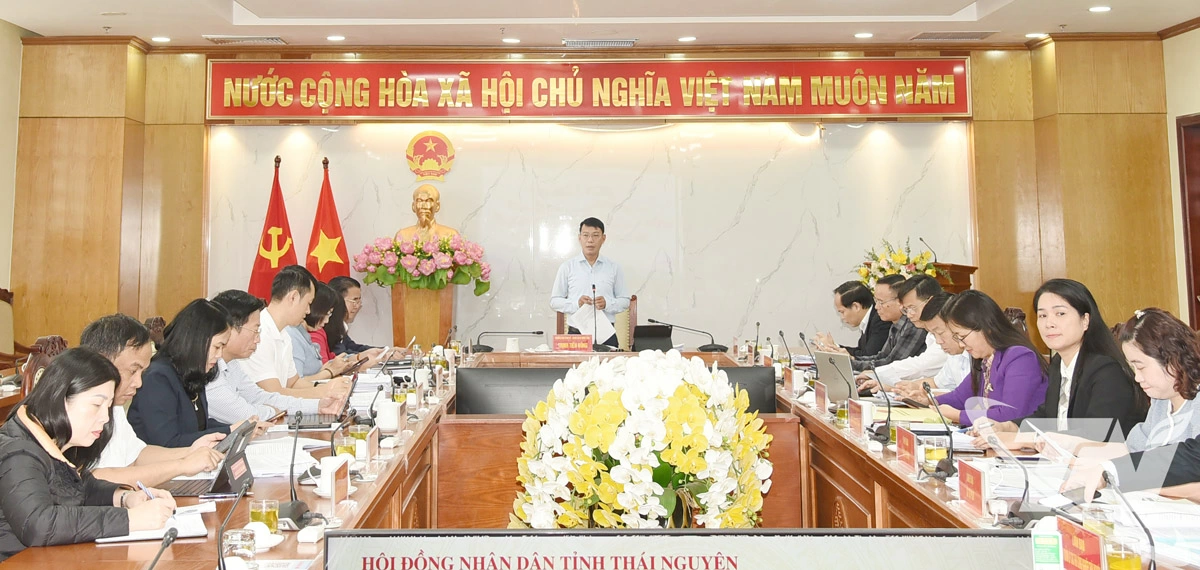 Các đại biểu dự Hội nghị.