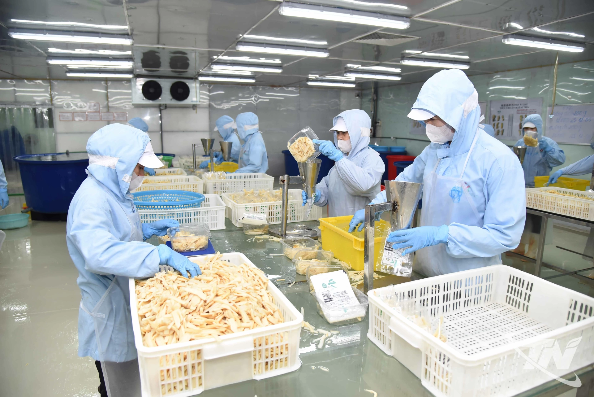 Hoạt động chế biến thực phẩm của Công ty TNHH Việt Nam Misaki tại Khu công nghiệp Thanh Bình.