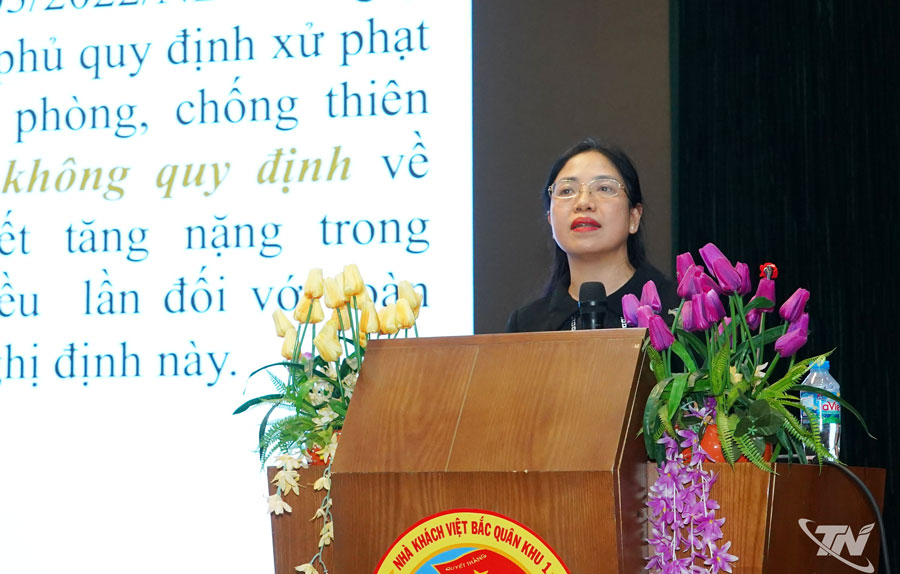 Tiến sĩ Nguyễn Thị Minh Phương, Phó Cục trưởng Cục Kiểm tra văn bản và tổ chức thi hành pháp luật, Bộ Tư pháp truyền đạt các nội dung tại hội nghị.