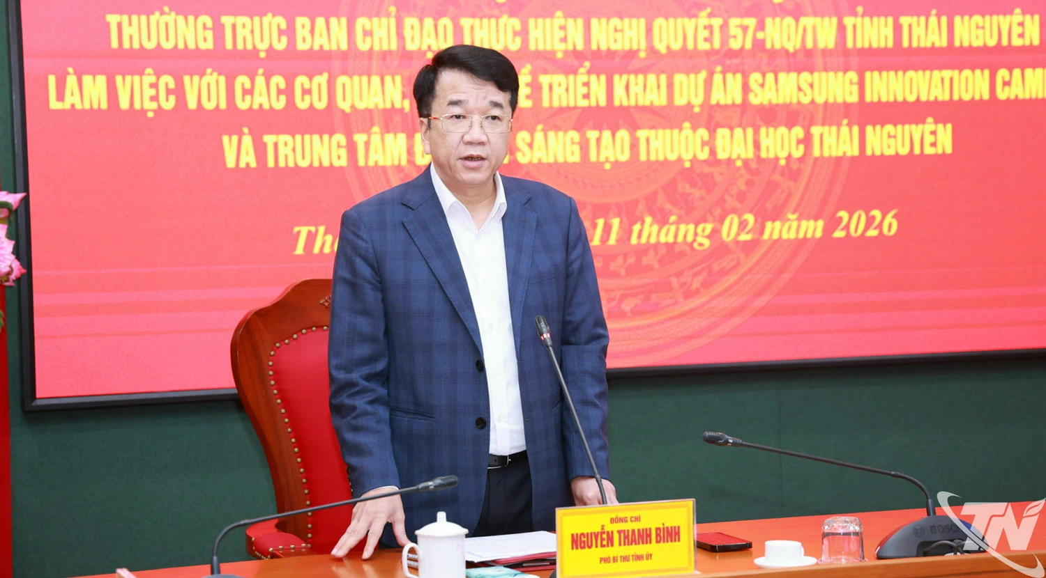 Đồng chí Nguyễn Thanh Bình, Phó Bí thư Thường trực Tỉnh ủy Thái Nguyên phát biểu kết luận Hội nghị.