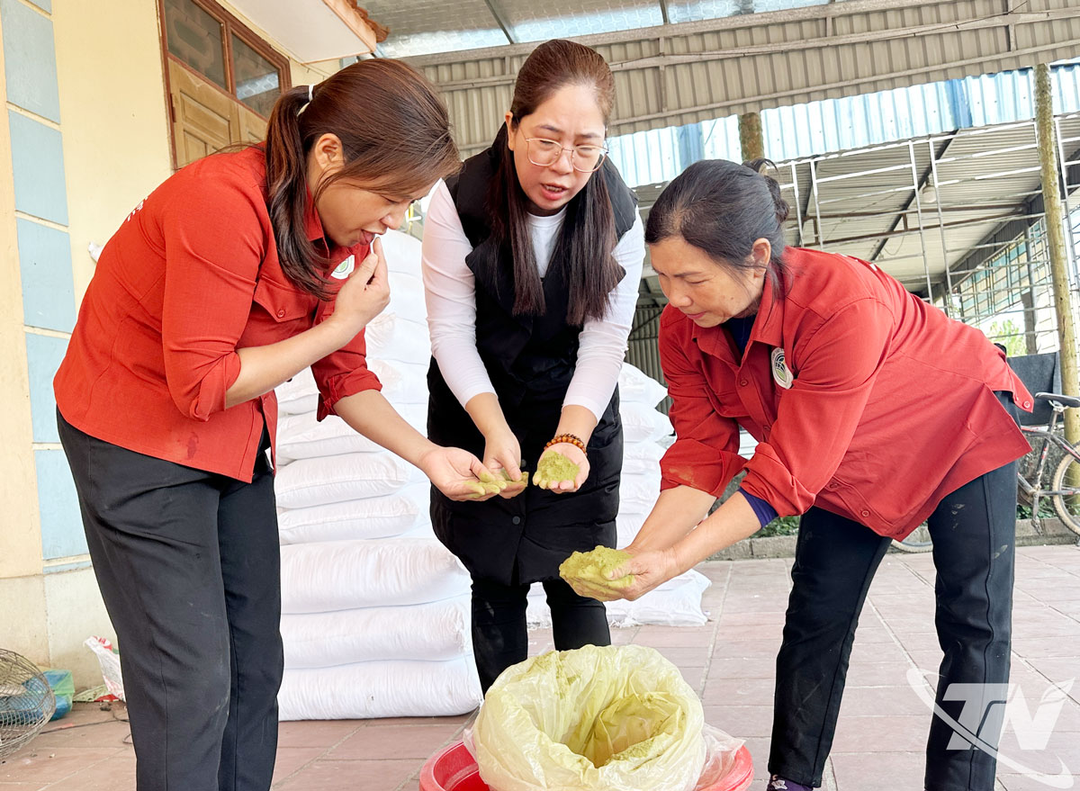 Cán bộ Trường Đại học Nông lâm Thái Nguyên hướng dẫn kỹ thuật cho bà con xã Tân Cương cách phối trộn bột trà xanh vào khẩu phần ăn cho lợn.  