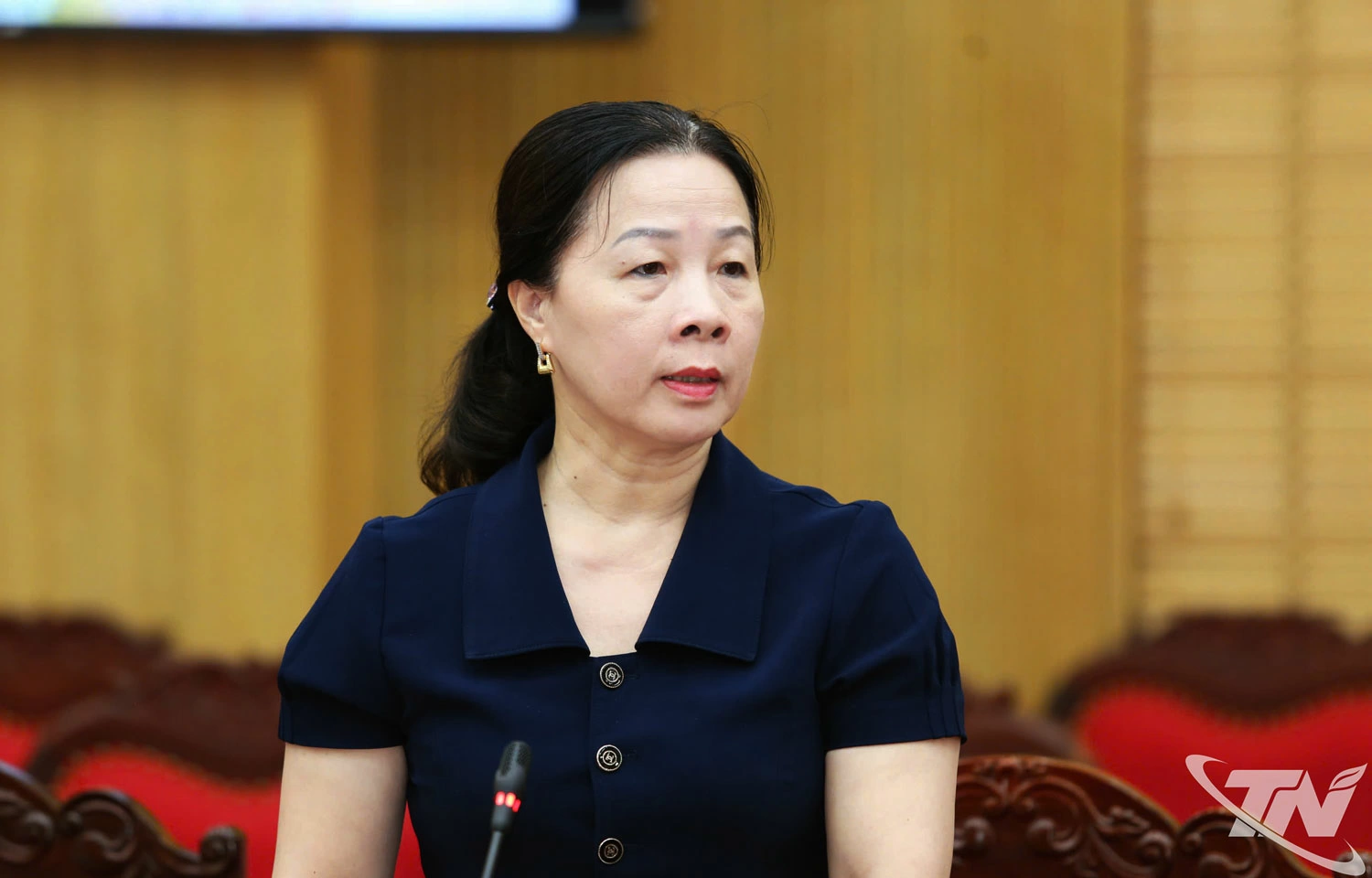 Các đại biểu phát biểu tại Hội nghị.