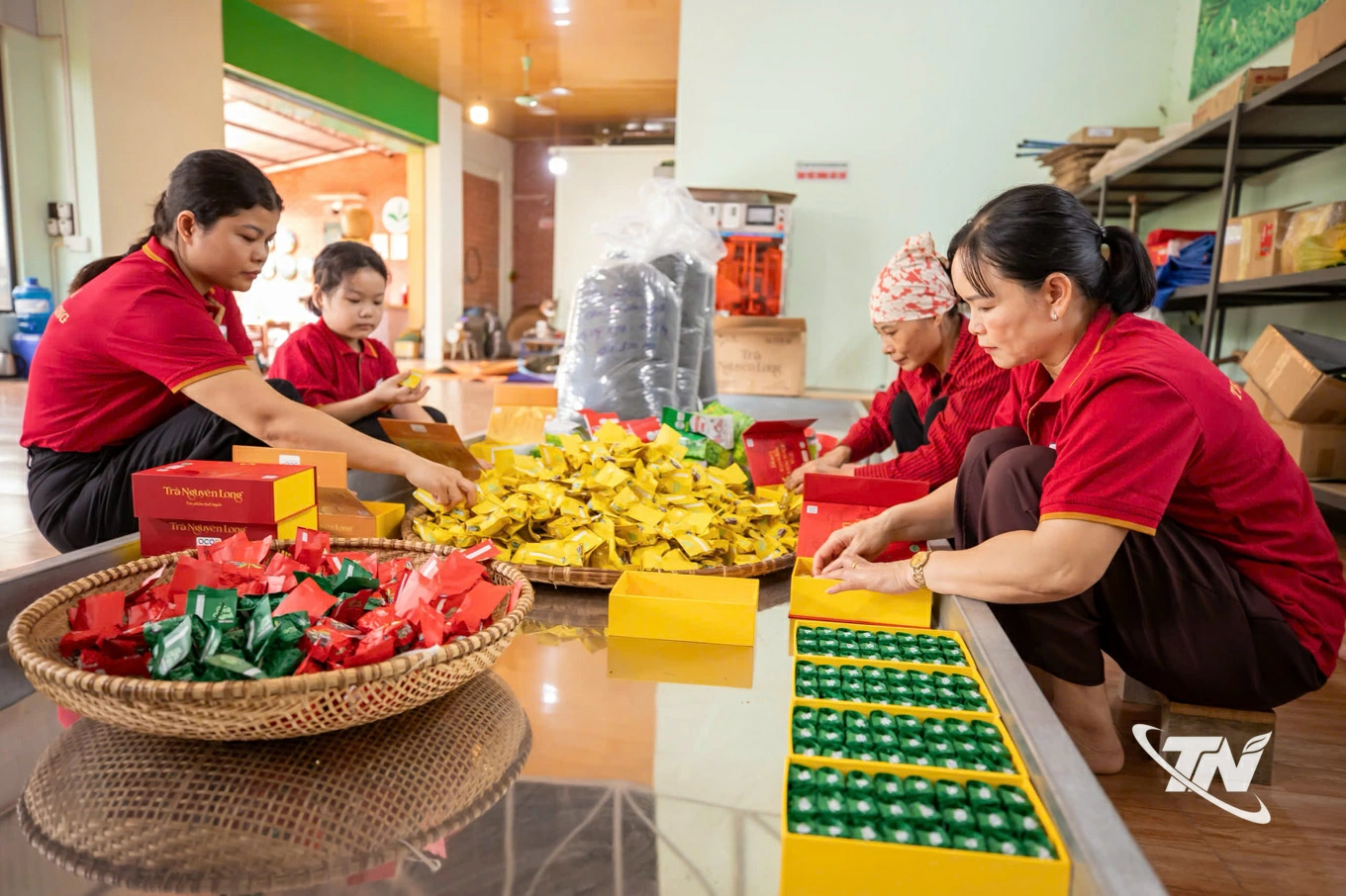 Công đoạn đóng gói sản phẩm tại Hợp tác xã Trà Nguyên Long được thực hiện theo quy trình chặt chẽ.