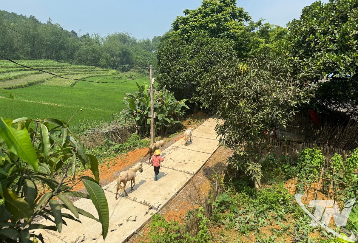 Đường v&agrave;o c&aacute;c bản miền n&uacute;i, v&ugrave;ng cao của tỉnh được mở mang theo niềm hy vọng về một tương lai tốt đẹp cho người d&acirc;n n&ocirc;ng th&ocirc;n.